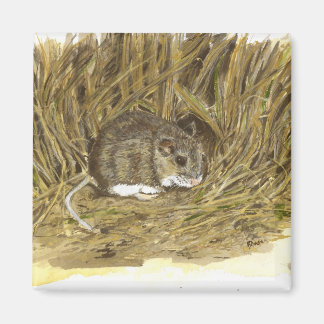 Íman Mouse de Campo