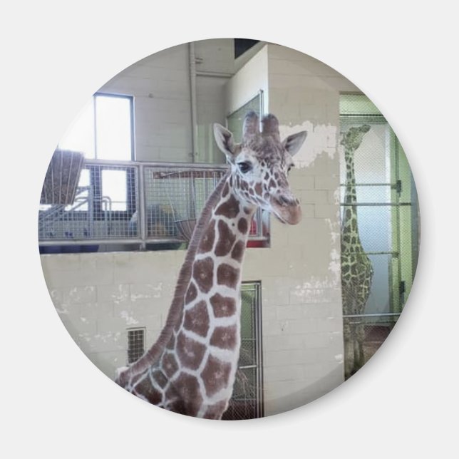 Íman Mouse Magnet nº 2 (Frente)