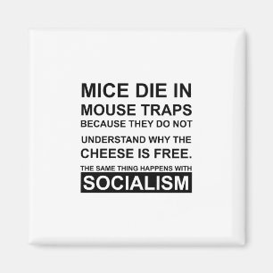 Íman Mouse Traps com queijo gratuito