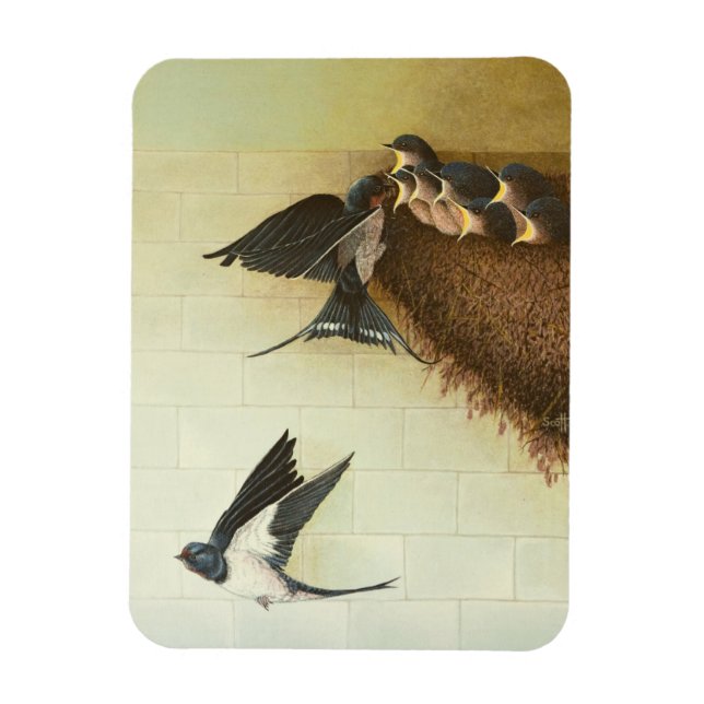 Íman Mouths Fome 2011 (Vertical)