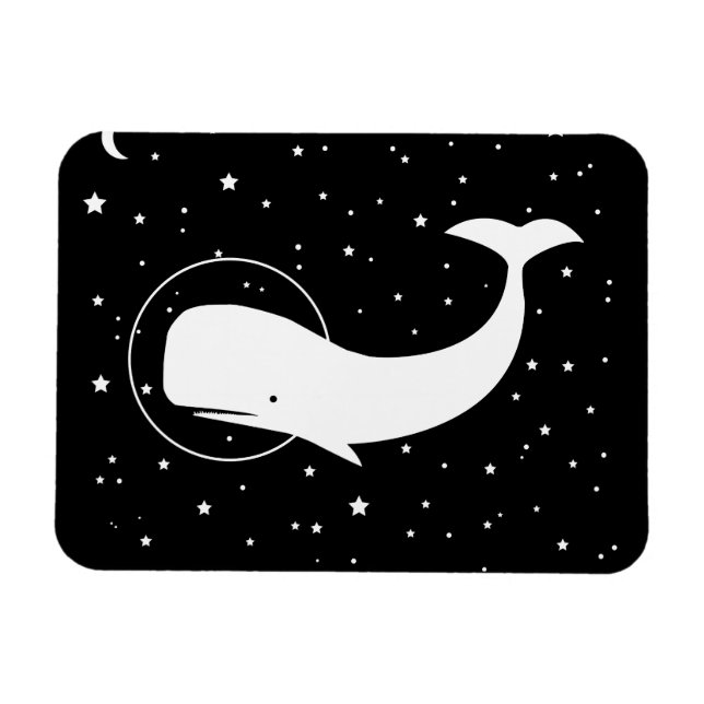 ÍMAN  MÓVEL NO ESPAÇO (Horizontal)