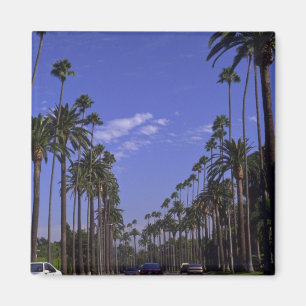 Íman Movimentação residencial do rodeio, Beverly Hill