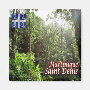 Íman MQ - Martinica - Ruas. Denis - Floresta Tropical