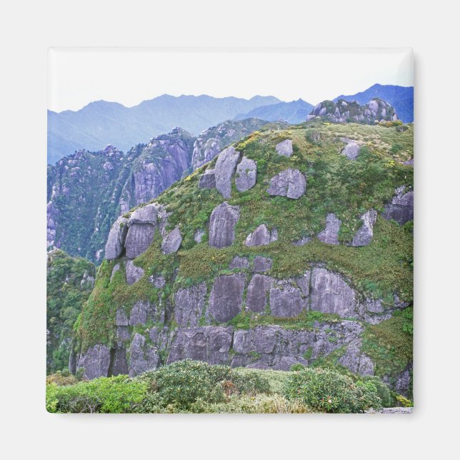 Íman Mt. Nagata, Yakushima, Kagoshima, Japão (Frente)