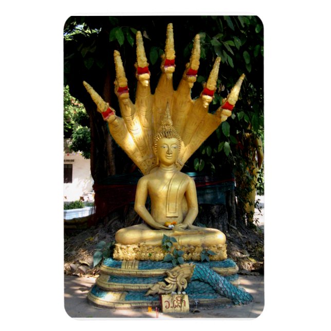 Íman Mucalinda (Vertical)