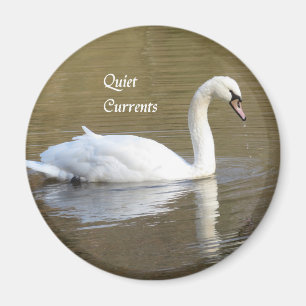 Íman Mudar o ímã de relaxação do Cisne