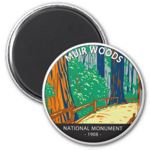 Íman Muir Woods National Monument California Vintage