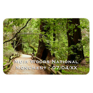 Íman Muir Woods Path II - Fotografia natural
