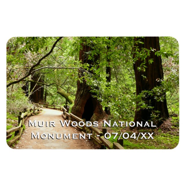 Íman Muir Woods Path II - Fotografia natural (Horizontal)