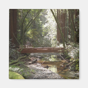 Íman Muir Woods Ponte II