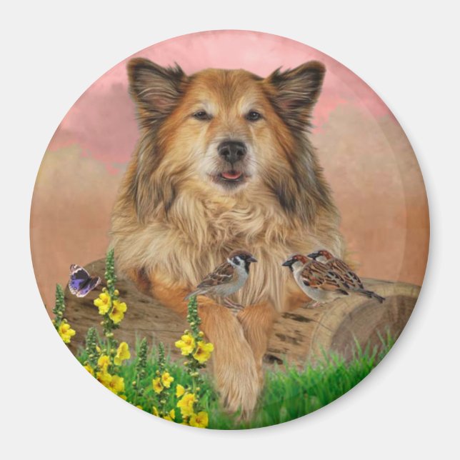 Íman Muismat (Frente)