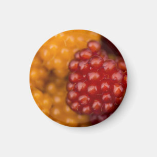 Íman Muito Berry