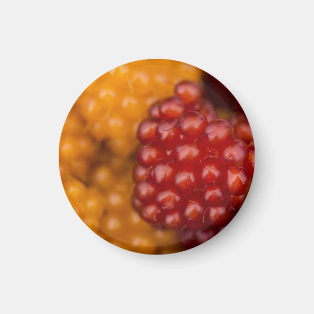 Íman Muito Berry (Frente)