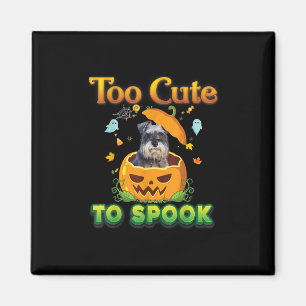 Íman Muito Bonito Para Falar De Pumpkin De Halloween De