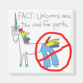 Íman Muito Legal Para Calças