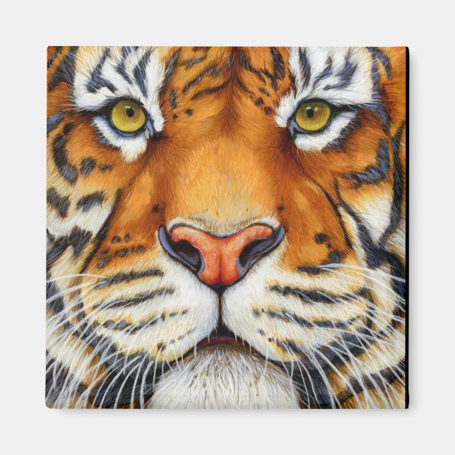 Íman Muito Perto - Ímã de Tigre Siberiana (Frente)