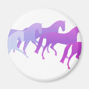 Íman Muitos cavalos (roxos)
