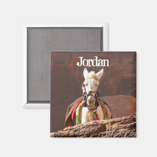 Íman Mula branca, PETRA Jordão