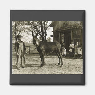 Íman mula NEGATIVA DE VIDRO de 5x7 Milwaukee