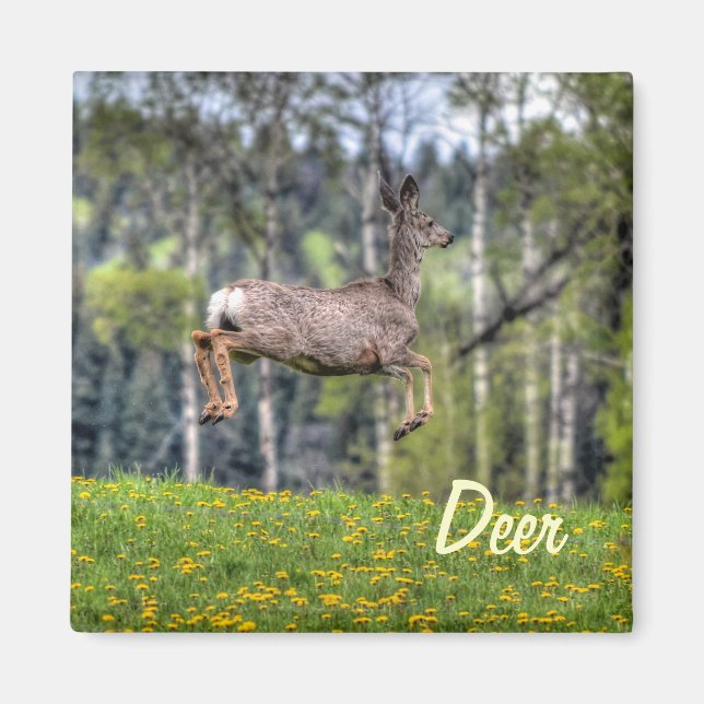 Íman Mule Deer & Field Willife Animal Design (Frente)
