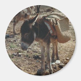 Íman Mule Magnet marroquino