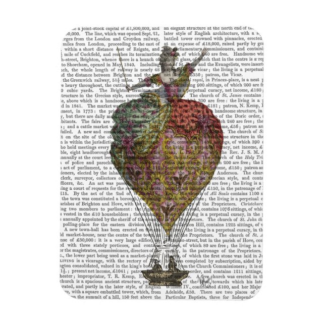 Íman Mulher Balão de Ar Quente 3 (Vertical)