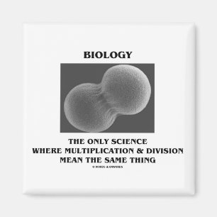 Íman Multiplicação da divisão de ciência da biologi