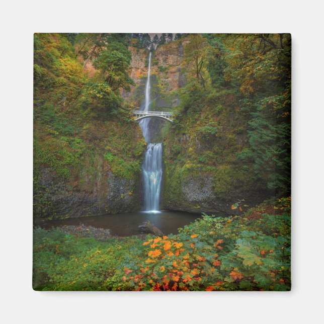 Íman Multnomah Falls | Columbia River Gorge, Oregon (Frente)