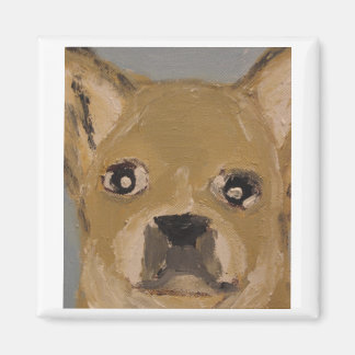 Íman mundo da terra eric ginsburg erics