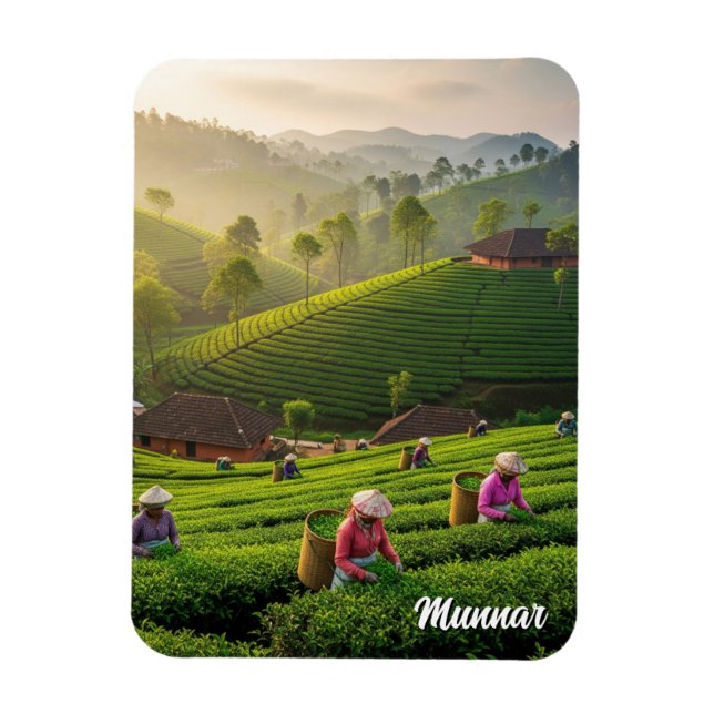 Íman Munnar Kerala India Tea Plantation (Vertical)