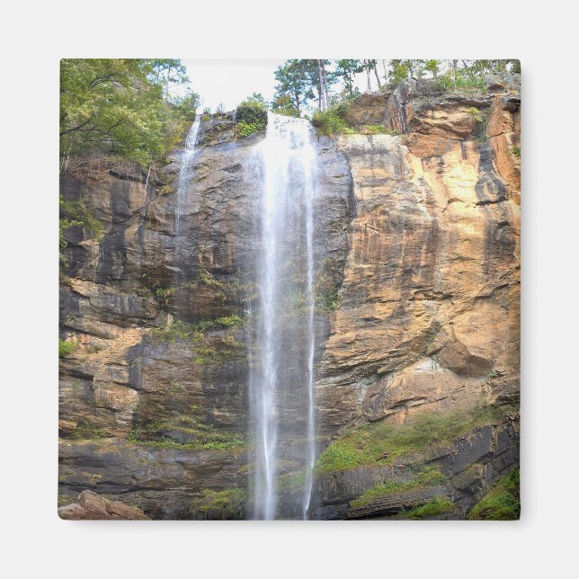 Íman Murmurios de Toccoa Falls (Frente)
