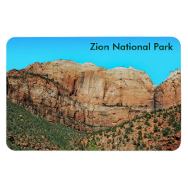 Íman Muro e o Magneto das colmeias