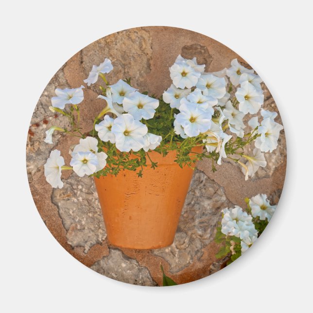 Íman Muro Espanhol (Frente)