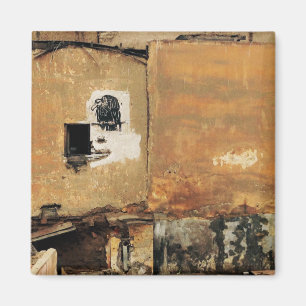 Íman muro urbano abutre peruano