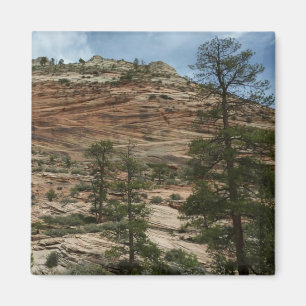 Íman Muros de Rock vestidos no Parque Nacional de Zion