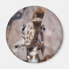 Íman Musa Magnet nº 1