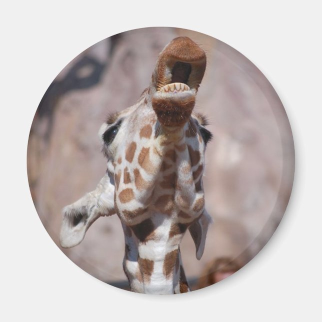 Íman Musa Magnet nº 1 (Frente)