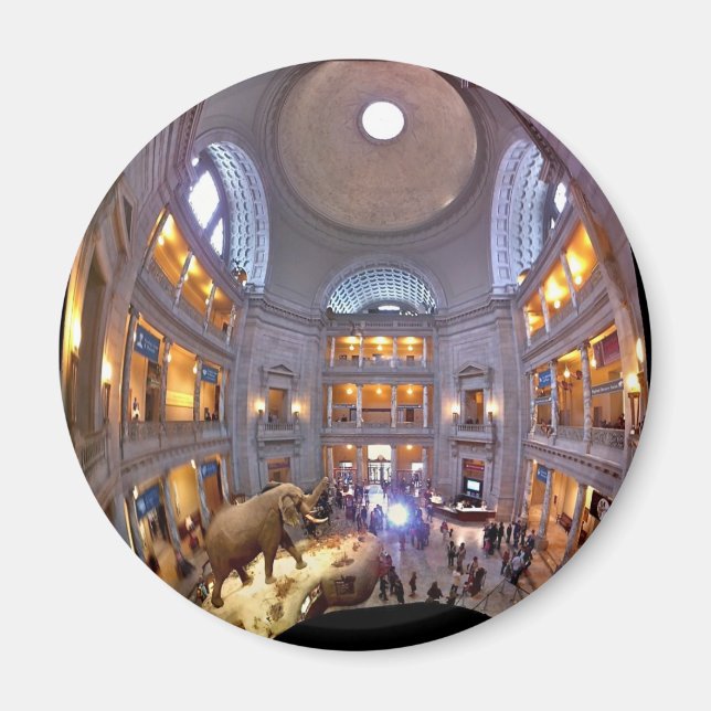 Íman Museu de História Natural (Frente)