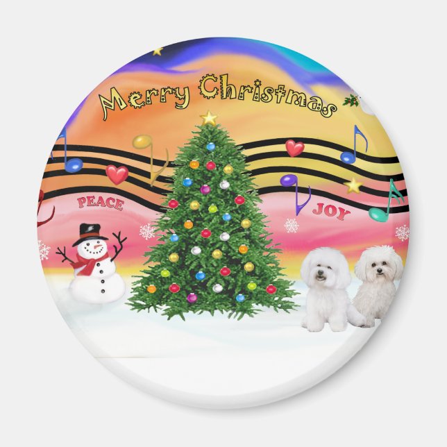 Íman Música de Natal 2 - Bichon Frise (dois) (Frente)