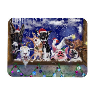 Íman Música de Natal - Festa Animal