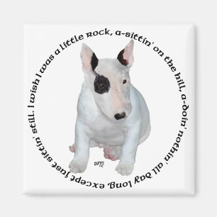 Íman Músicas de Filhotes de Bull Terrier