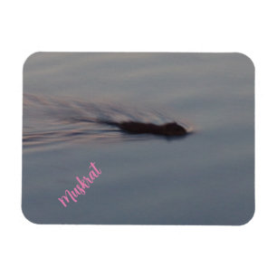 Íman Muskrat no Minnesota Flexible Magnet