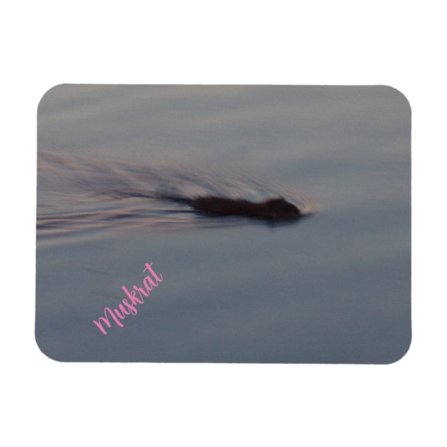 Íman Muskrat no Minnesota Flexible Magnet (Horizontal)