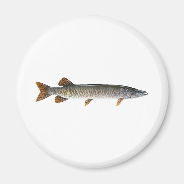 Íman Musky - Muskellunge (Frente)