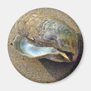 Íman Mussel Seashell Sand Beach Magnet