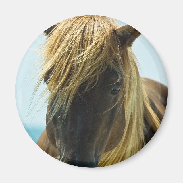 Íman Mustang Magnet (Frente)
