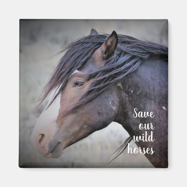 Íman Mustangs selvagens do Ocidente (Frente)