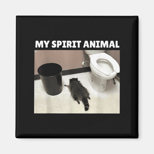 Íman My Srit Animal Raccoon Trash Panda Drunk In The Ba (Frente)