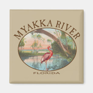 Íman Myakka River Florida com Roseate Spoonbill