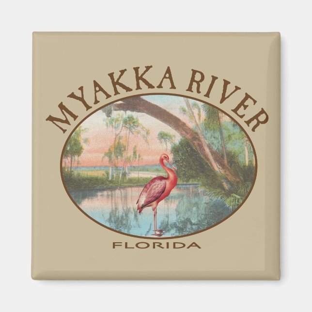 Íman Myakka River Florida com Roseate Spoonbill (Frente)